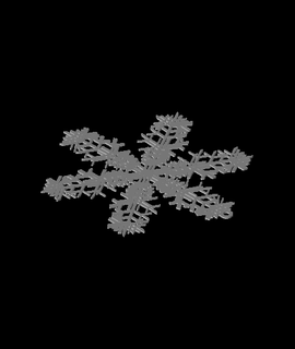 snowflake 2 mixhalk Home & Garden 3d print model - Mito3D