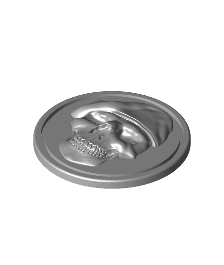 soldier skull coin   kcwarthog  3D print model - Mito3D