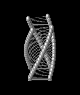 spirale ornement 3d modèle 3dprintbunny 3d print model - Mito3D