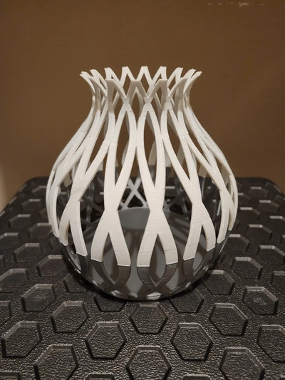spline vase v1 - 3d by dfd3d on thangs home decor furniture decoration 3d print model - Mito3D