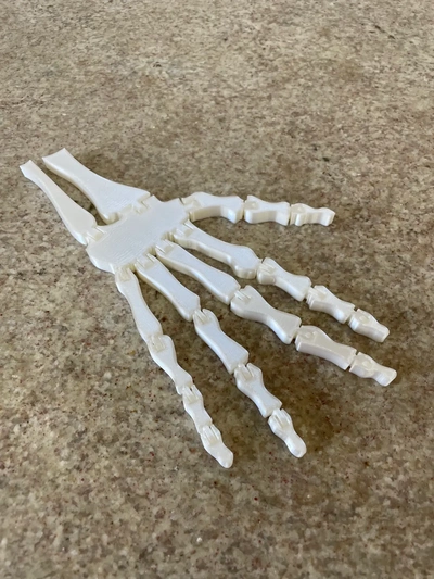effrayant flexi squelette main articulé os 3d by sommeil 3d print model - Mito3D