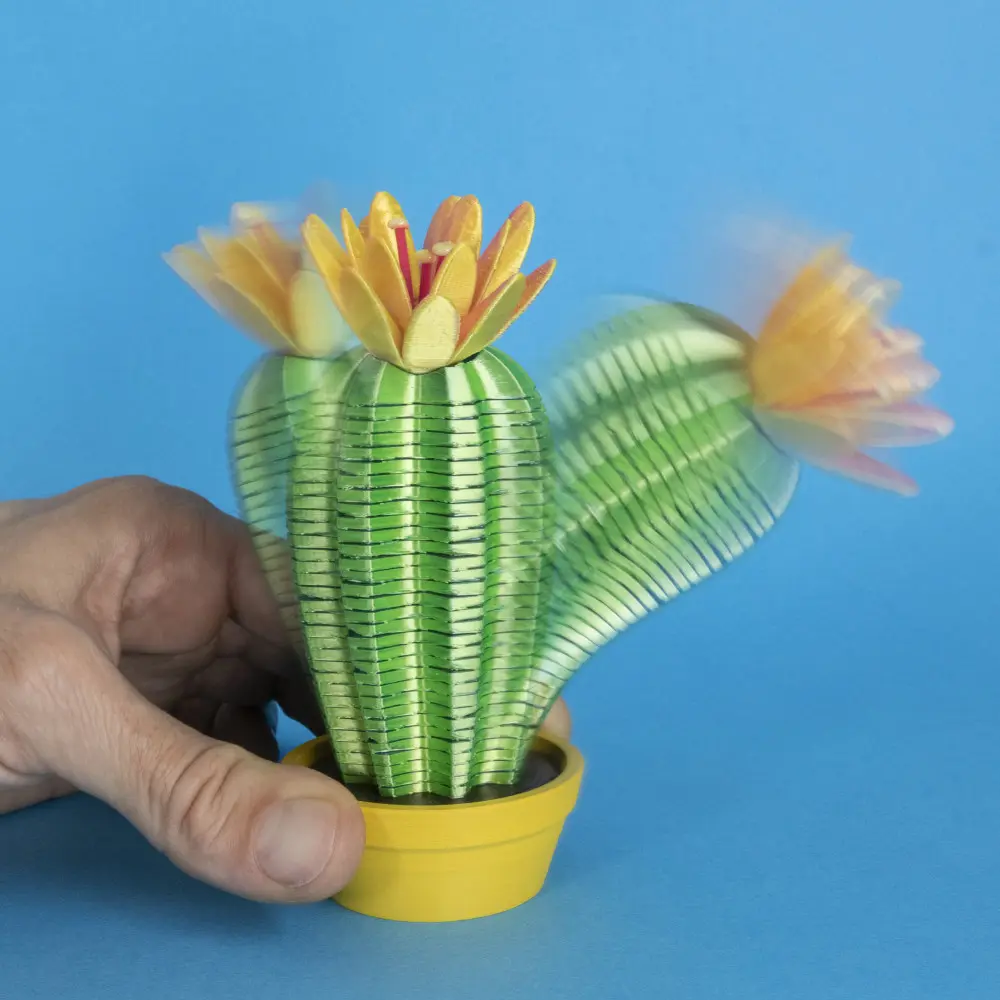 springo cactus trichocereus - 3d by on thangs fun funny cacti succulent plant planter spring slinky coil helix toy game wobbly jiggly flexible flexy art design flower bloom flowers succulents pot 3D print model - Mito3D