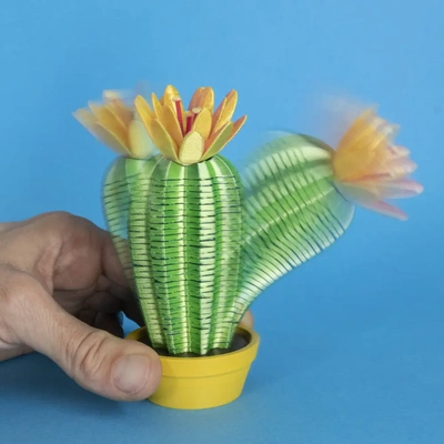 springo cactus trichocereus - 3d by on thangs fun funny cacti succulent plant planter spring slinky coil helix toy game wobbly jiggly flexible flexy art design flower bloom flowers succulents pot 3d print model - Mito3D
