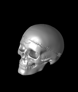 staple skull 3d print model - Mito3D