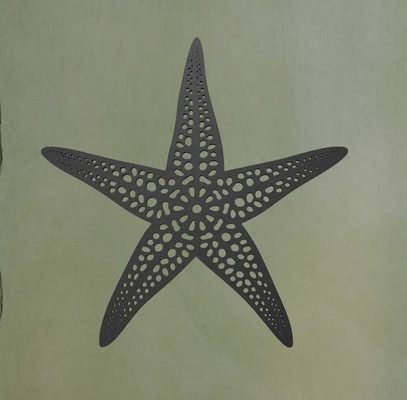 étoile mer mur art 3d by ri0m0 3d print model - Mito3D