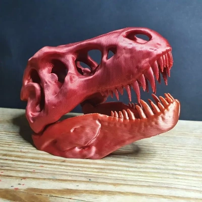 t rex crânio 3d by omsculpts on 3d print model - Mito3D