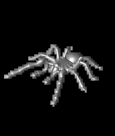tarantola famiglia of lupo spiders stl 3d by emilia sera0001 on grazie 3d print model - Mito3D