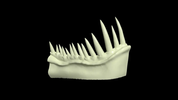 dents monstre stl 3d by fiers paroles 3d print model - Mito3D