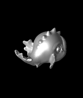 thames baby dolphin max funknerstl 3d model thangs  3d print model - Mito3D
