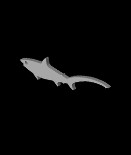 thresher shark keyring captcookk 3d print model - Mito3D