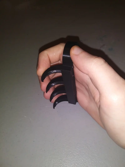 tiger claws - bagh nahk 3d by timberlizard on thangs 3d print model - Mito3D