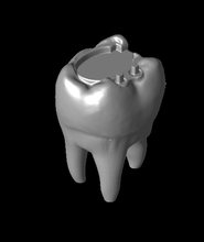 tooth shaped toothbrush holder oral 3d model thangs 3d print model - Mito3D