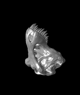 trex skullstl 3d model tnightingale thangs 3d print model - Mito3D