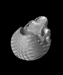 trippy esadecimale cranio planter bowl 3d print model - Mito3D