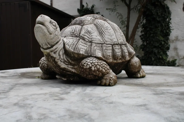 kaplumbağa heykelcik 3d by ralf h kavgacı teşekkürler 3d print model - Mito3D