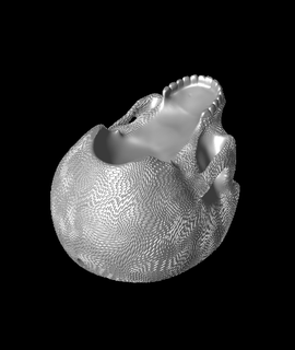 tordu pixel crâne planter bowl Accueil maison jardin 3d print model - Mito3D