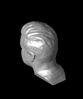 uncle jessy head scan helmet scaling 3d model thangs 3d print model - Mito3D