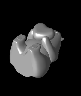valentino - valentine bear ass 3d print model - Mito3D