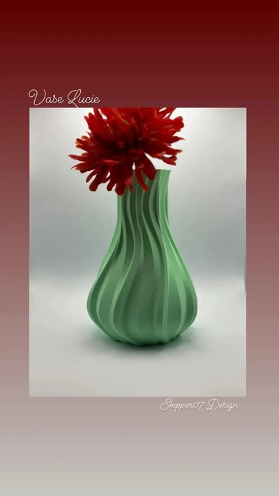 vase lucie 3d by skipper07 on danke 3d print model - Mito3D