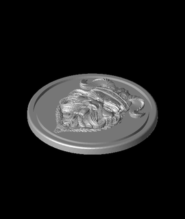 viking warrior coin kcwarthog 3d print model - Mito3D