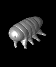 water bears poses death strand 3d model thangs 3d print model - Mito3D