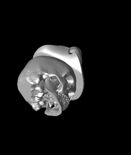 strega cranio premere stampa 3d print model - Mito3D