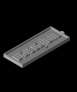 Wolfenstein clé chaîne boucle d'oreille plaque d'identification passe temps Jeux 3d print model - Mito3D