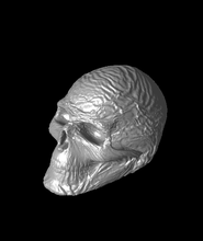 arrugado cráneo 3d modelo thecreatorx3d gracias 3d print model - Mito3D