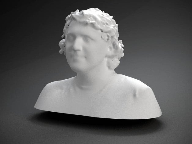 matt griffin other 3D print model - Mito3D