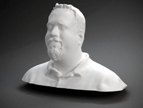 tony buser otros la cabeza scan tbuser thebusers 3d print model - Mito3D