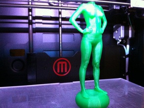 cuerpo femenino toro de la base personas desnudo 3d print model - Mito3D