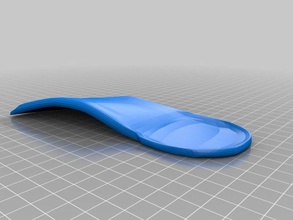 my customized orthotic insoles customizeable right other 3d print model - Mito3D