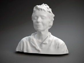 laurie anderson otros la artista el busto músico scan mujer 3d print model - Mito3D