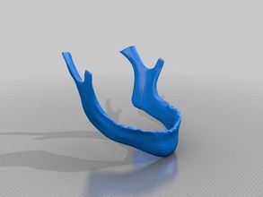 cranio umano stampabile altri ossa 3d print model - Mito3D