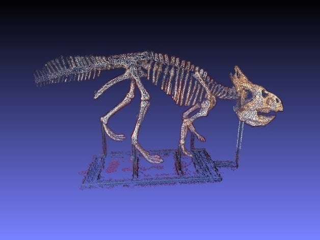 protoceratops rom altri ceratopsia dinosauro my3dscanner ornithischia il royal ontario museum 3D print model - Mito3D