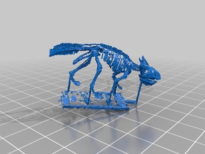 protoceratops rom stl diğer 3d print model - Mito3D