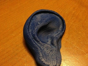 kulak insanlar vücut parçaları 3d print model - Mito3D