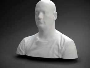 clay shirky andere 3d print model - Mito3D