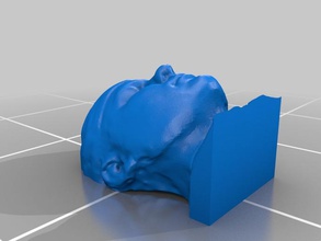 selfscan other head 3d print model - Mito3D