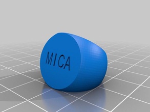 mica anillo los anillos personalizado 3d print model - Mito3D