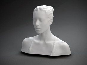 stoya mold other bust casting manufacturing 3d print model - Mito3D