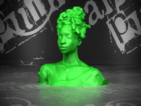 parl other bust head woman 3d print model - Mito3D