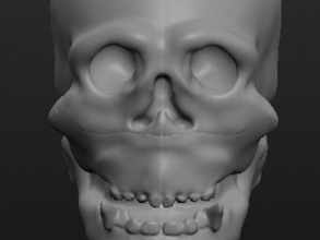 skull thing sculptures 3d print model - Mito3D