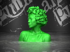 doppelbangers-dj tonik otros el busto cabeza humanos escaneado 3d print model - Mito3D