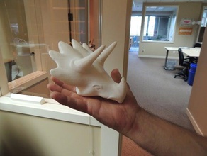 triceratops cabeça animais dinossauros 3d print model - Mito3D