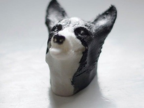 perro feliz a los animales belga collie lo perrito de pastor 3d print model - Mito3D