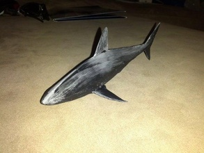 reef shark split two no support needed scans replicas animal fish ocean 3d print model - Mito3D