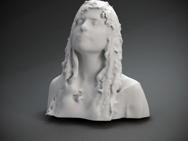 colette robbins other 3D print model - Mito3D