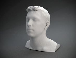 larry persone 3d print model - Mito3D