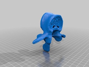 vértebra l3 outros anatomia 3d print model - Mito3D